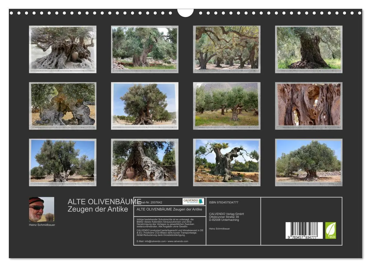 Bild: 9783457934777 | ALTE OLIVENBÄUME Zeugen der Antike (Wandkalender 2026 DIN A3 quer),...