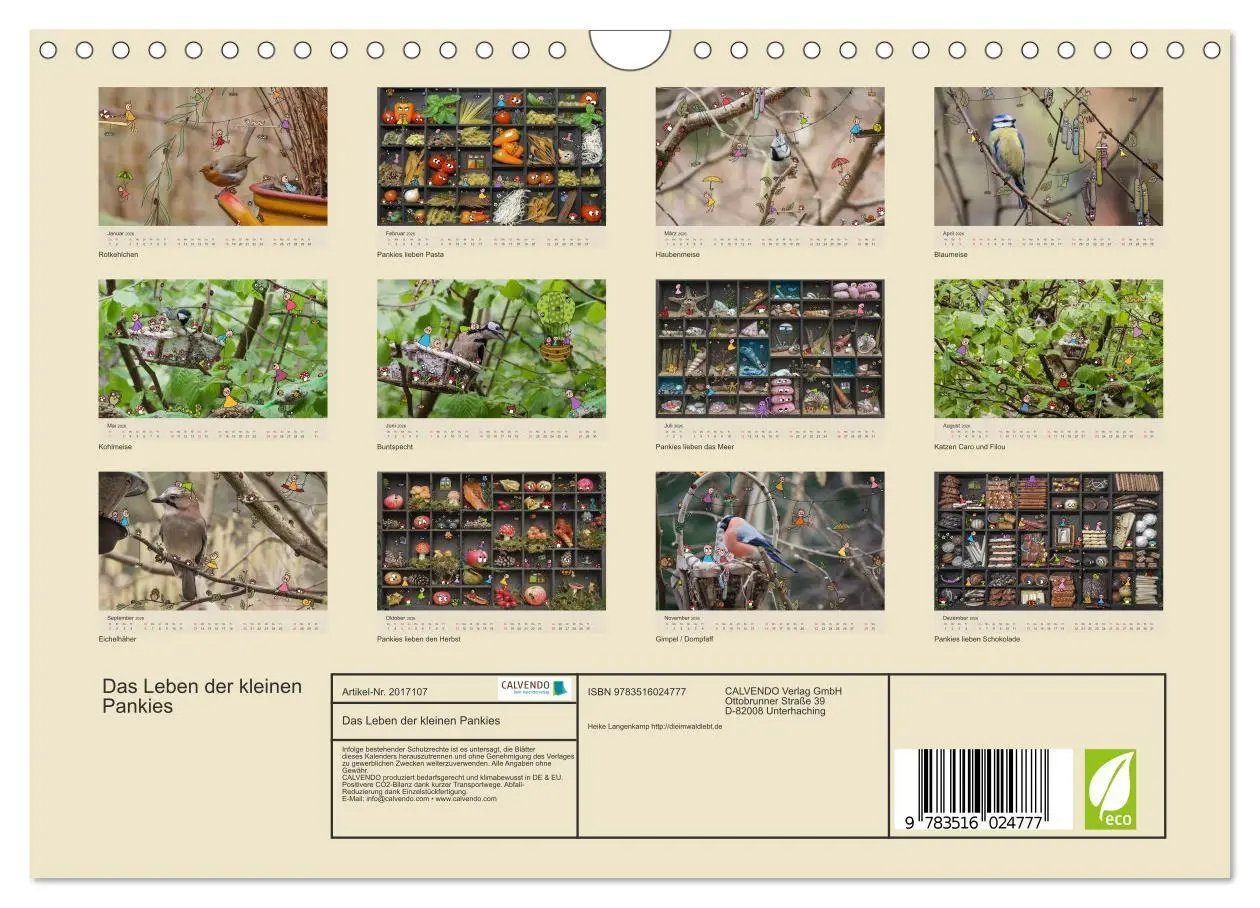 Bild: 9783516024777 | Das Leben der kleinen Pankies (Wandkalender 2026 DIN A4 quer),...