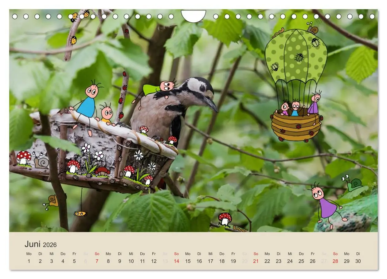 Bild: 9783516024777 | Das Leben der kleinen Pankies (Wandkalender 2026 DIN A4 quer),...