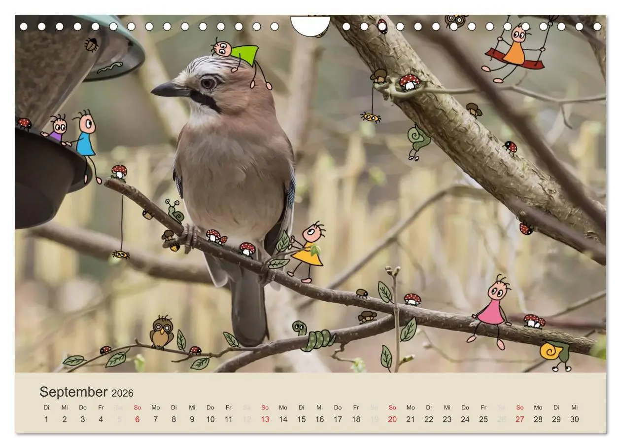 Bild: 9783516024777 | Das Leben der kleinen Pankies (Wandkalender 2026 DIN A4 quer),...