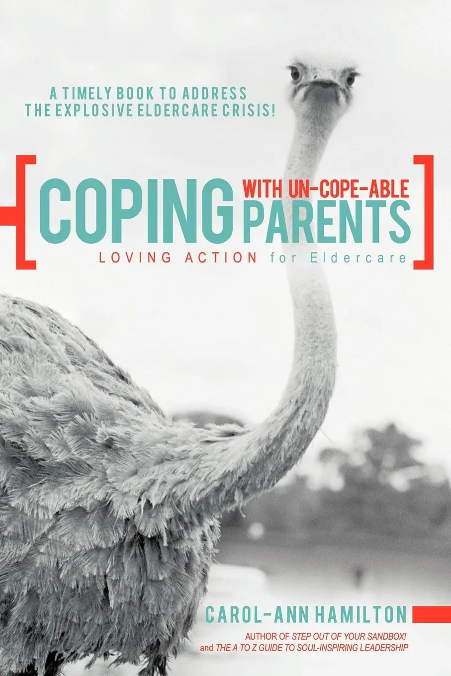 Cover: 9781452554877 | Coping with Un-Cope-Able Parents | Loving Action for Eldercare | Buch