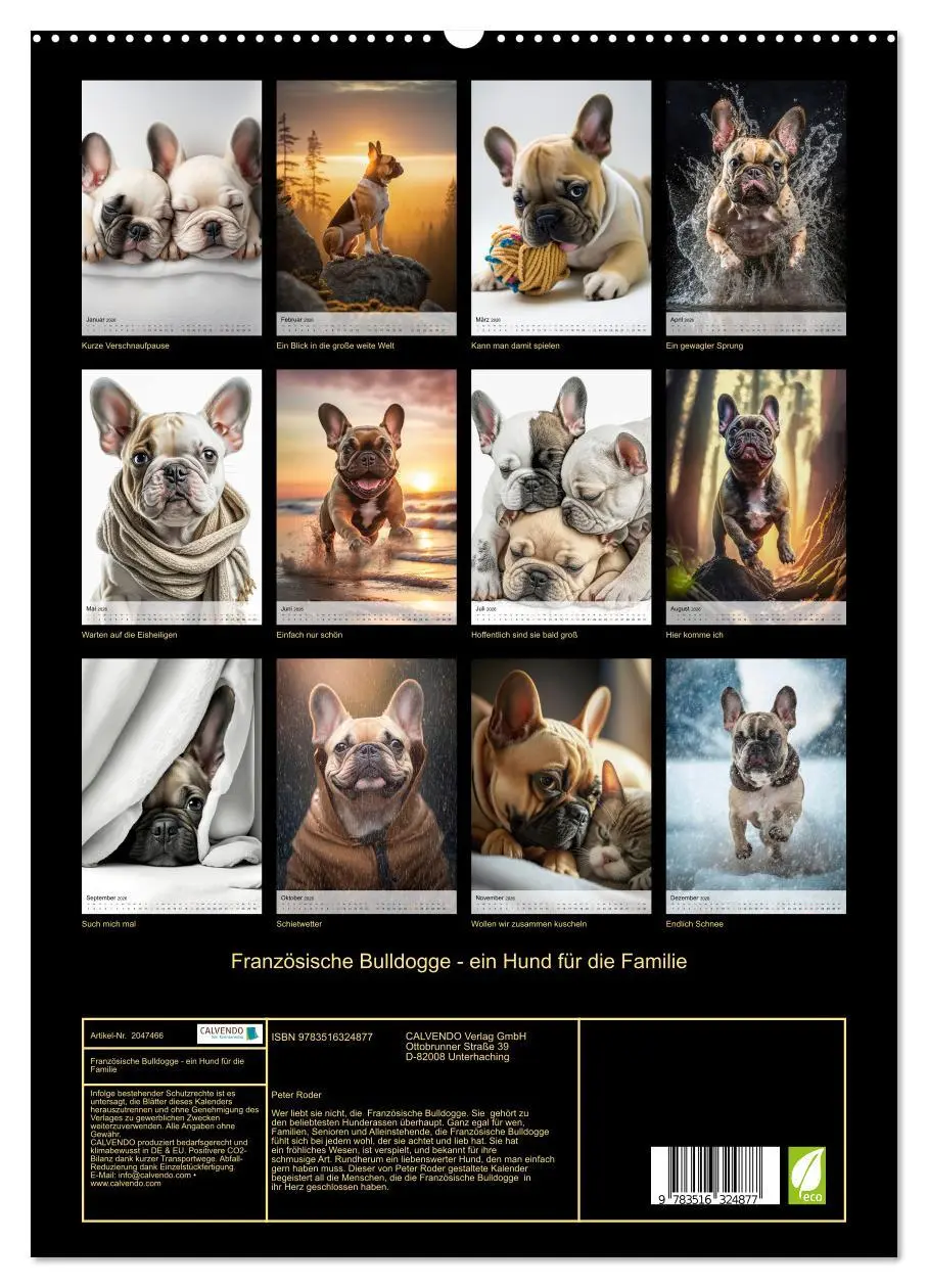 Bild: 9783516324877 | Französische Bulldogge - ein Hund für die Familie (hochwertiger...