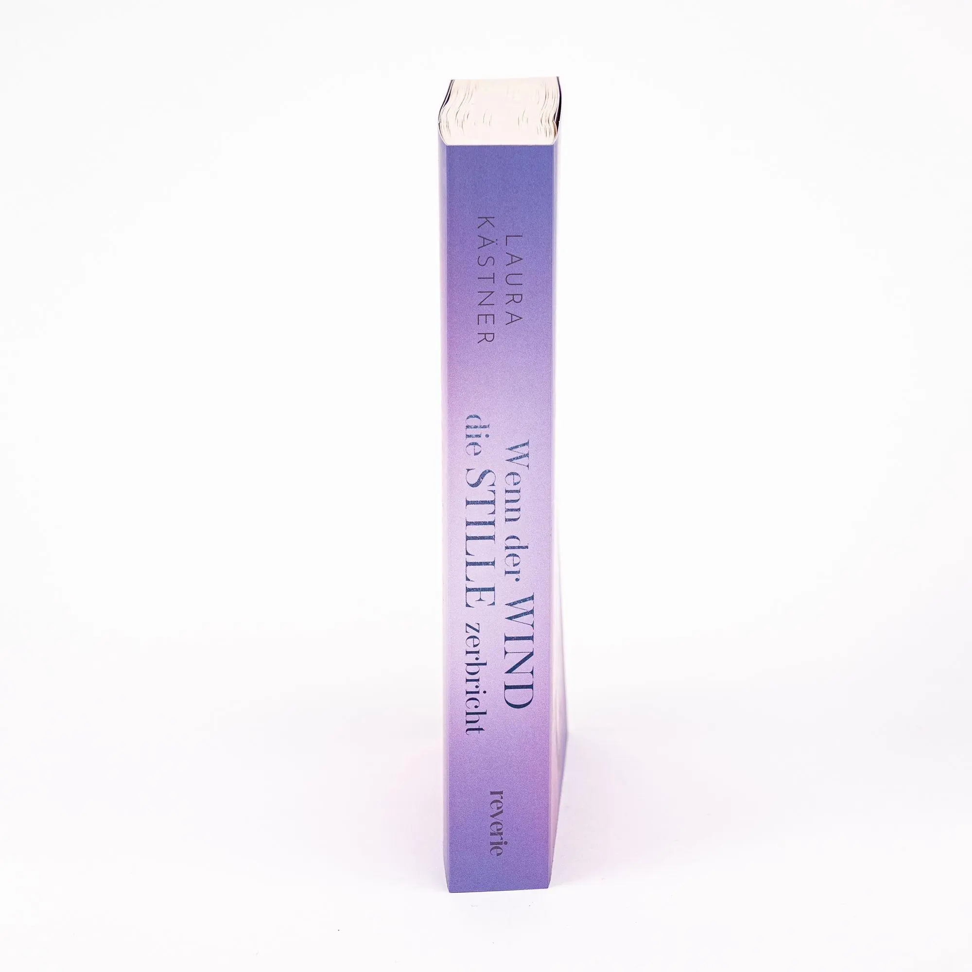 Bild: 9783745704877 | Wenn der Wind die Stille zerbricht | Laura Kästner | Taschenbuch