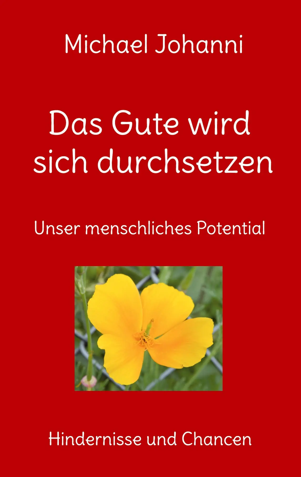 Cover: 9783757824877 | Das Gute wird sich durchsetzen | Michael Johanni | Taschenbuch | 2024