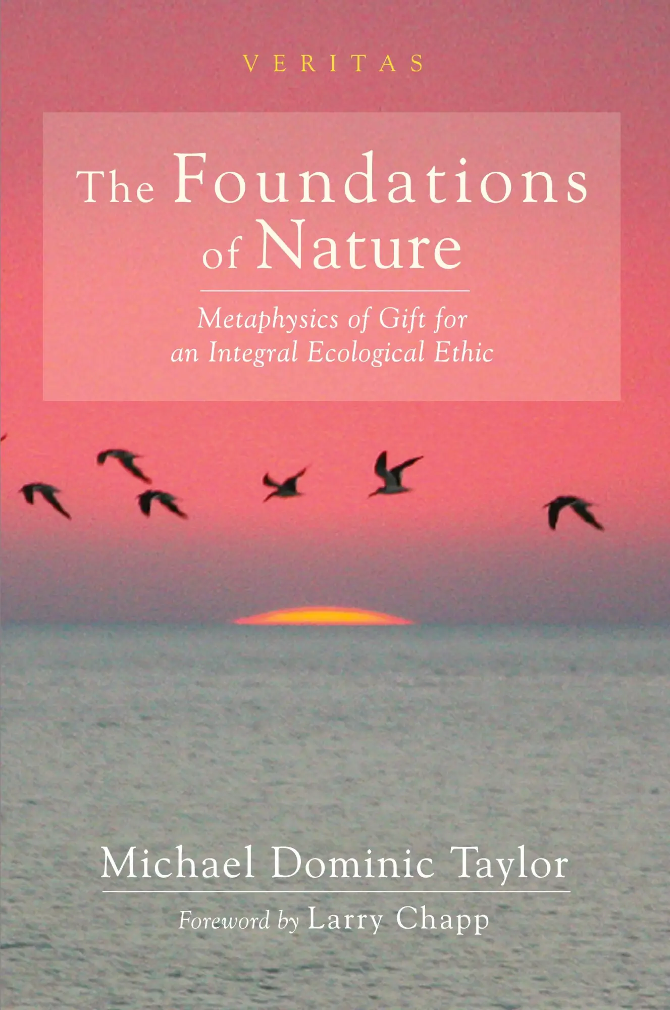 Cover: 9781725264977 | The Foundations of Nature | Michael Dominic Taylor | Taschenbuch