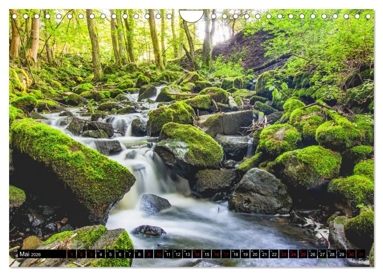 Bild: 9783457844977 | Westerwaldliebe (Wandkalender 2026 DIN A4 quer), CALVENDO...