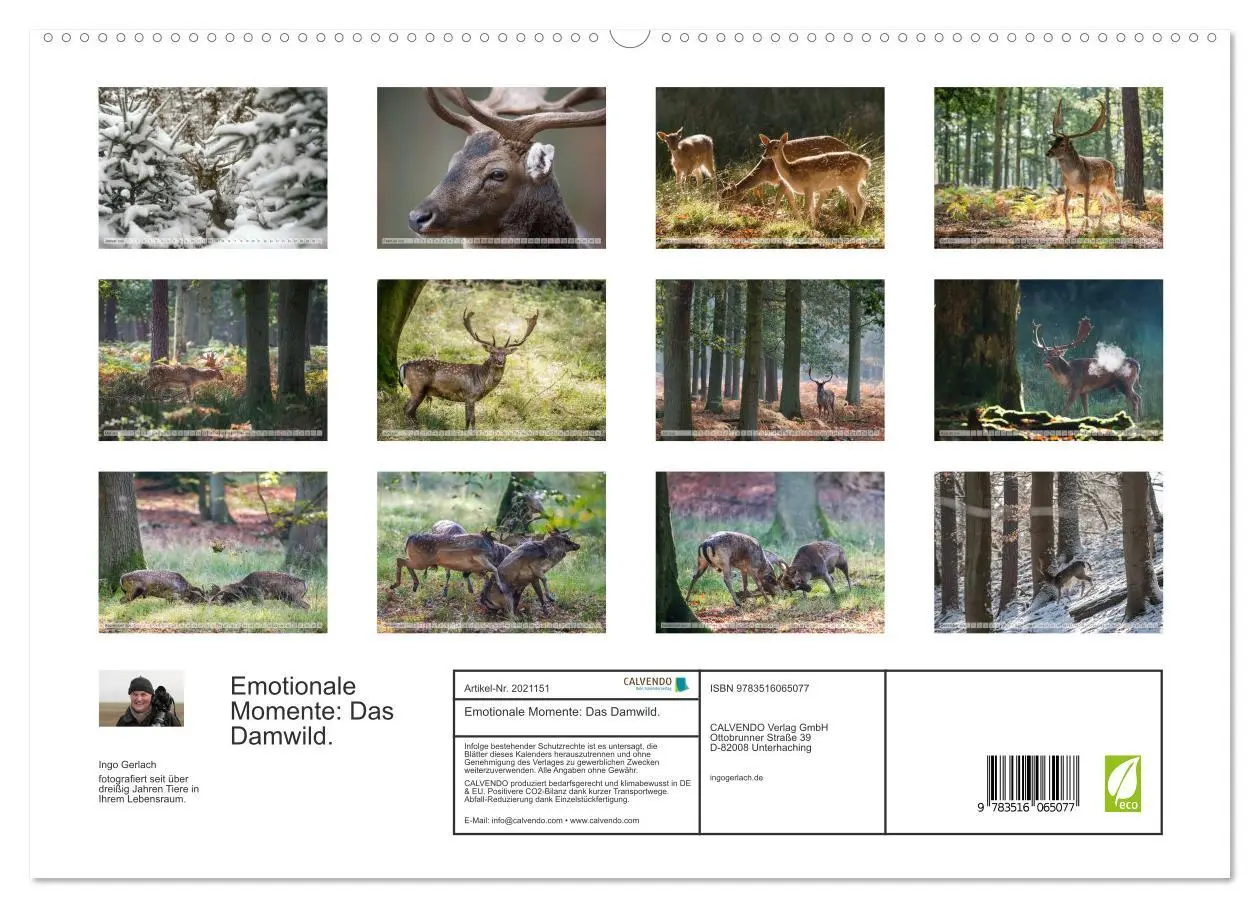 Bild: 9783516065077 | Emotionale Momente: Das Damwild. (hochwertiger Premium Wandkalender...