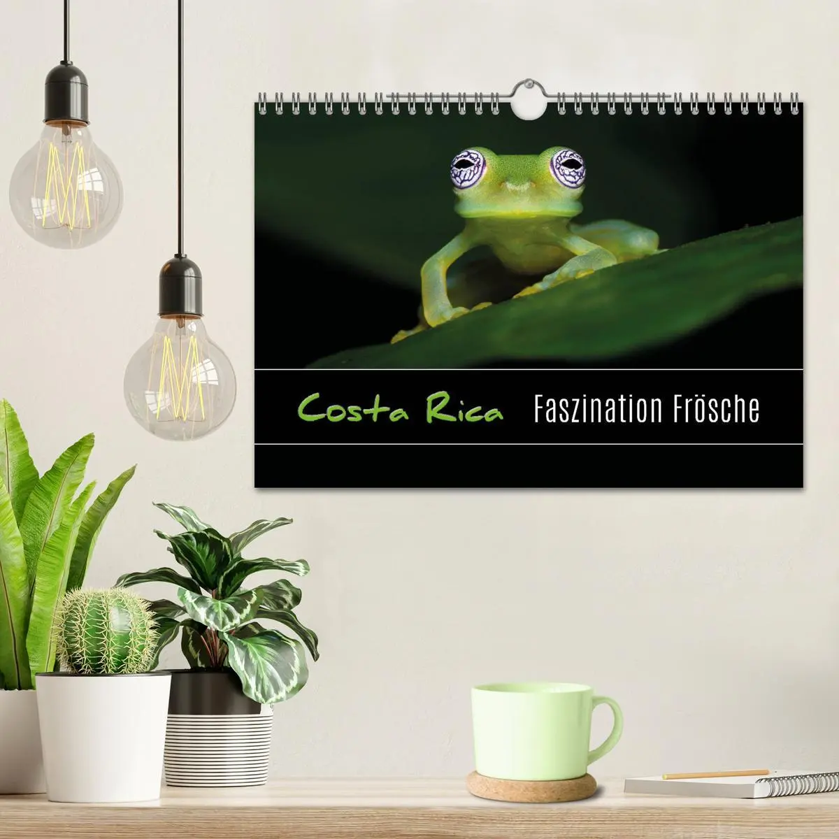 Bild: 9783457965177 | Costa Rica - Faszination Frösche (Wandkalender 2026 DIN A4 quer),...