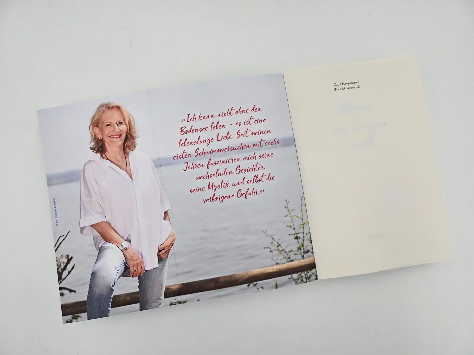 Bild: 9783492065177 | Wenn ich tanzen will | Roman Ein Frauenleben am Bodensee | Hauptmann