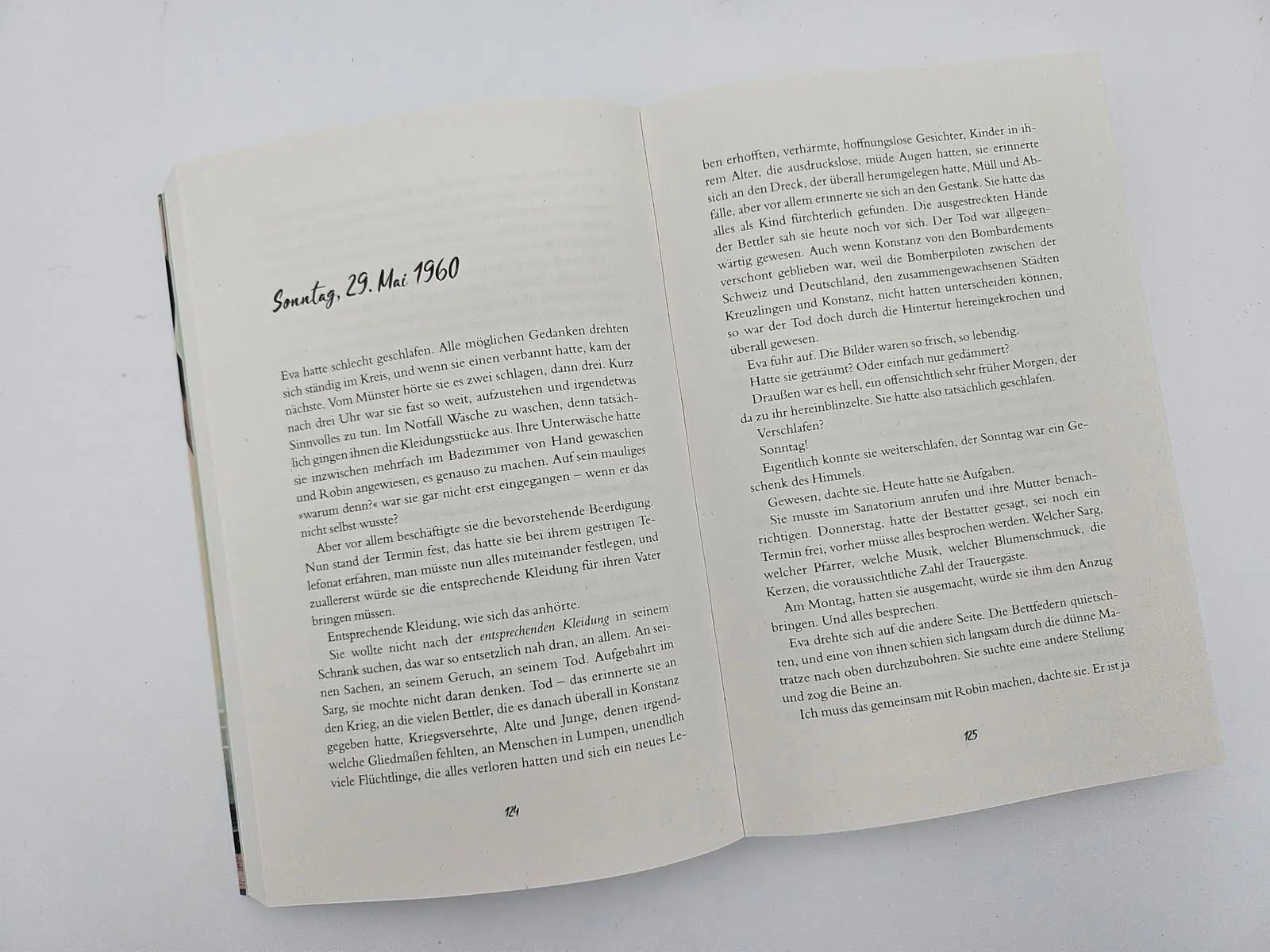 Bild: 9783492065177 | Wenn ich tanzen will | Roman Ein Frauenleben am Bodensee | Hauptmann