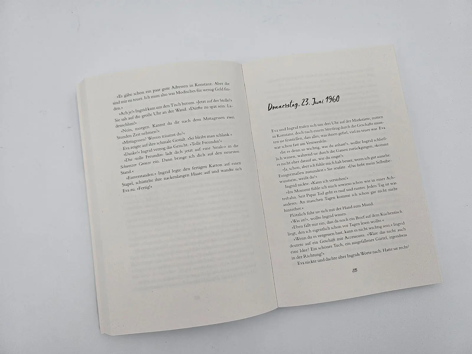 Bild: 9783492065177 | Wenn ich tanzen will | Roman Ein Frauenleben am Bodensee | Hauptmann