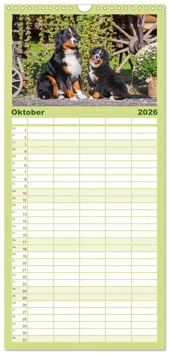 Bild: 9783516505177 | Familienplaner 2026 - Berner Sennenhund - Eine Liebe für´s Leben...