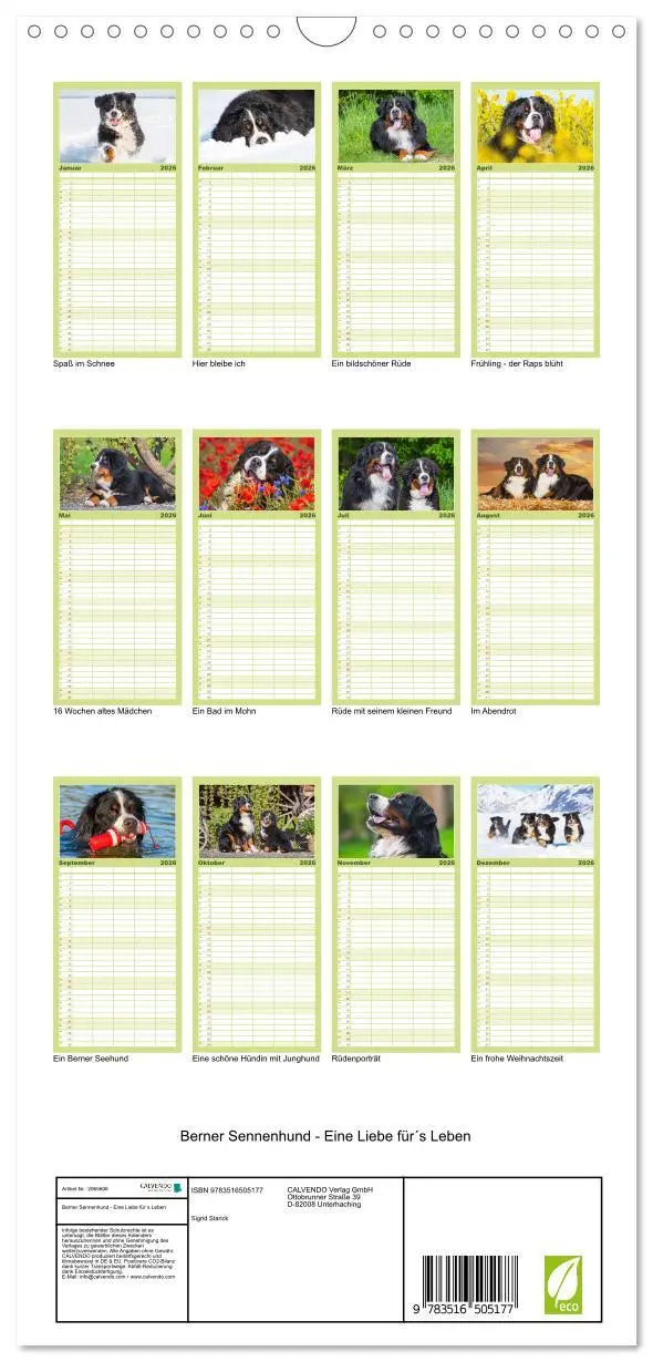 Bild: 9783516505177 | Familienplaner 2026 - Berner Sennenhund - Eine Liebe für´s Leben...