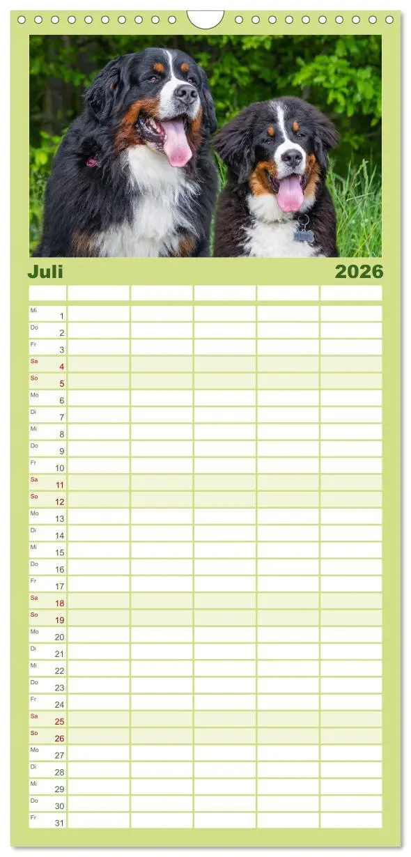 Bild: 9783516505177 | Familienplaner 2026 - Berner Sennenhund - Eine Liebe für´s Leben...