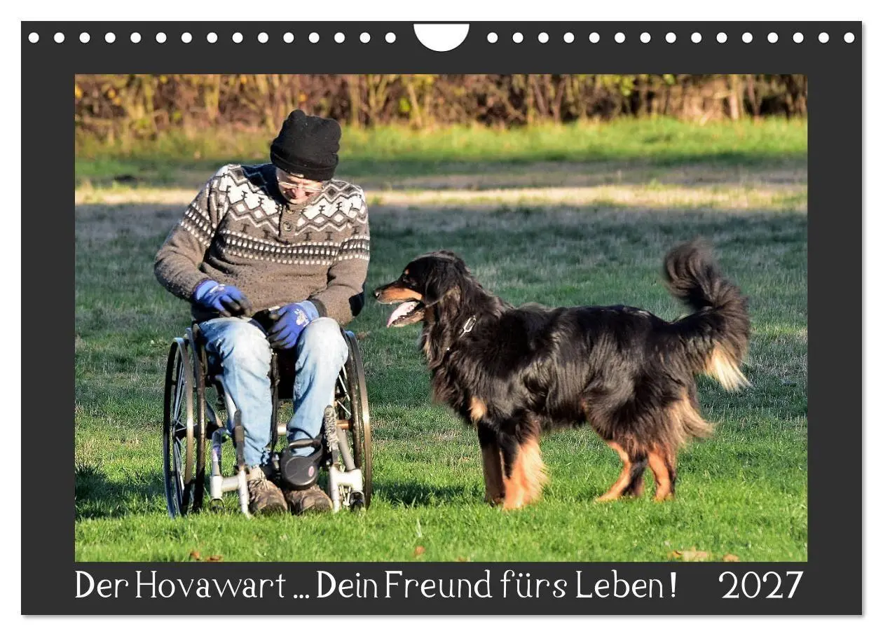 Cover: 9783569695177 | Der Hovawart... Dein Freund fürs Leben! (Wandkalender 2027 DIN A4...