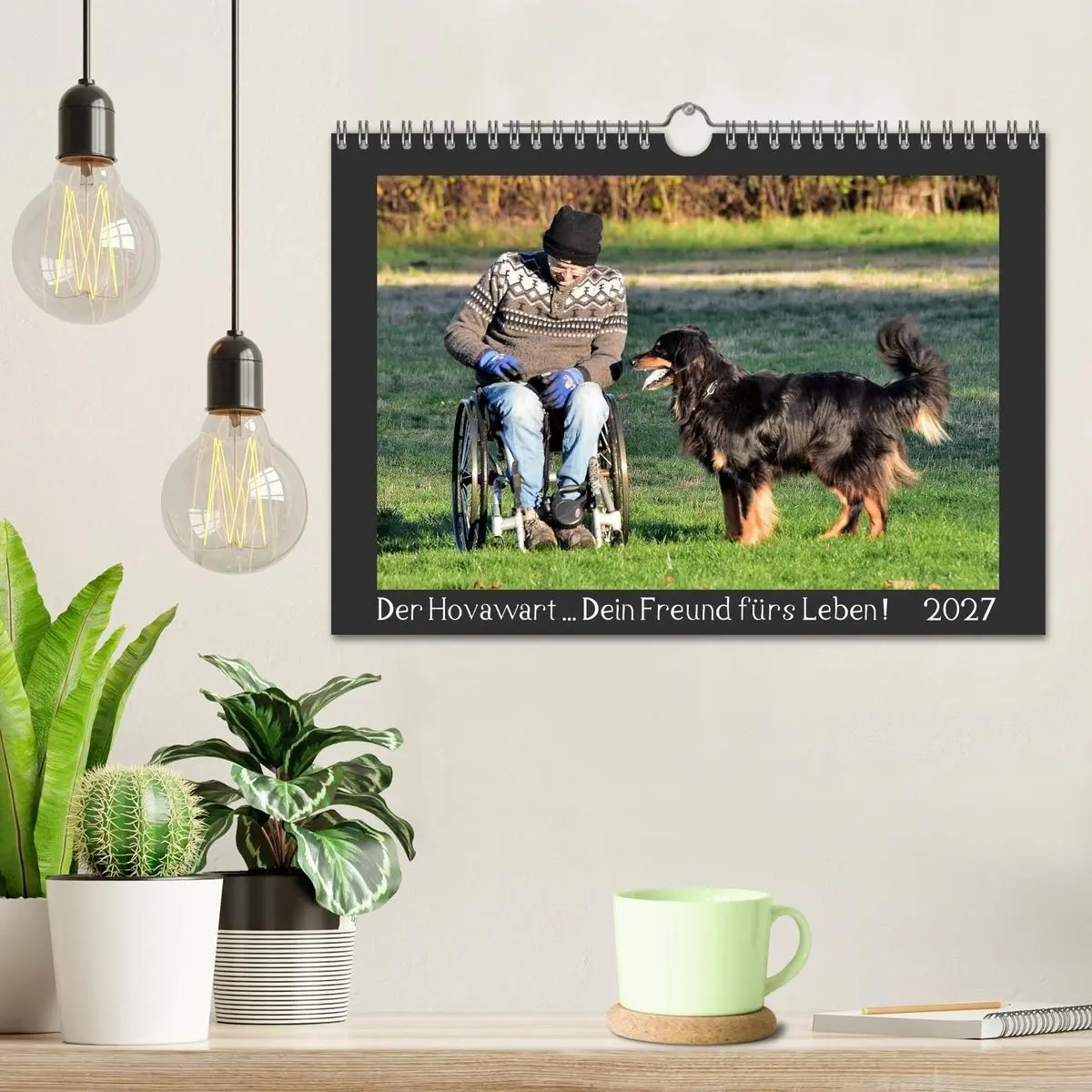 Bild: 9783569695177 | Der Hovawart... Dein Freund fürs Leben! (Wandkalender 2027 DIN A4...
