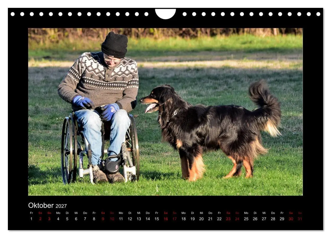 Bild: 9783569695177 | Der Hovawart... Dein Freund fürs Leben! (Wandkalender 2027 DIN A4...