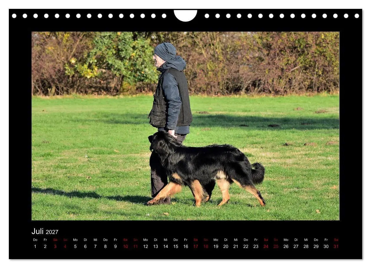 Bild: 9783569695177 | Der Hovawart... Dein Freund fürs Leben! (Wandkalender 2027 DIN A4...