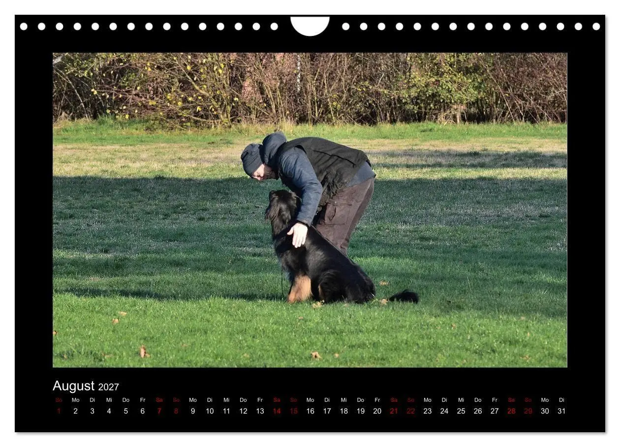 Bild: 9783569695177 | Der Hovawart... Dein Freund fürs Leben! (Wandkalender 2027 DIN A4...