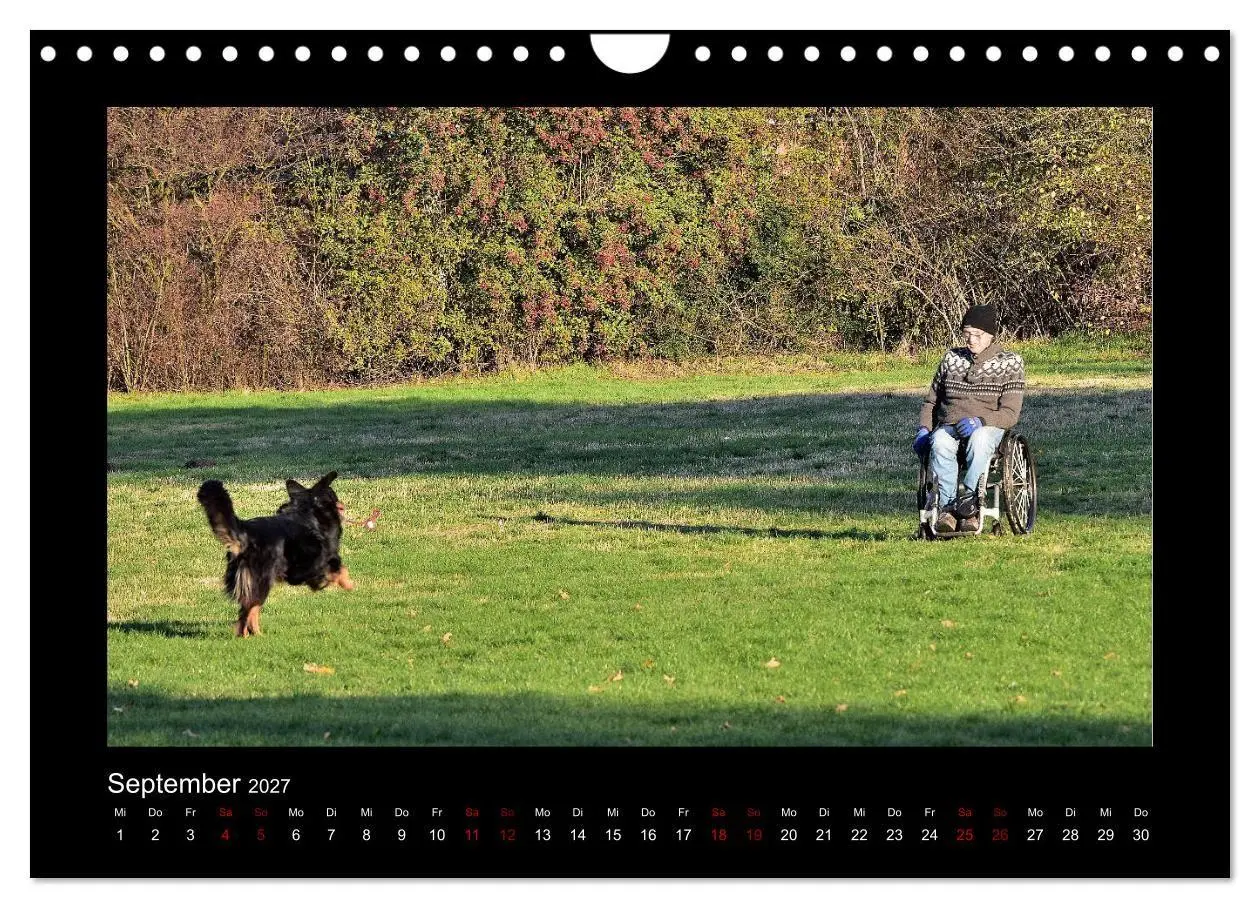Bild: 9783569695177 | Der Hovawart... Dein Freund fürs Leben! (Wandkalender 2027 DIN A4...