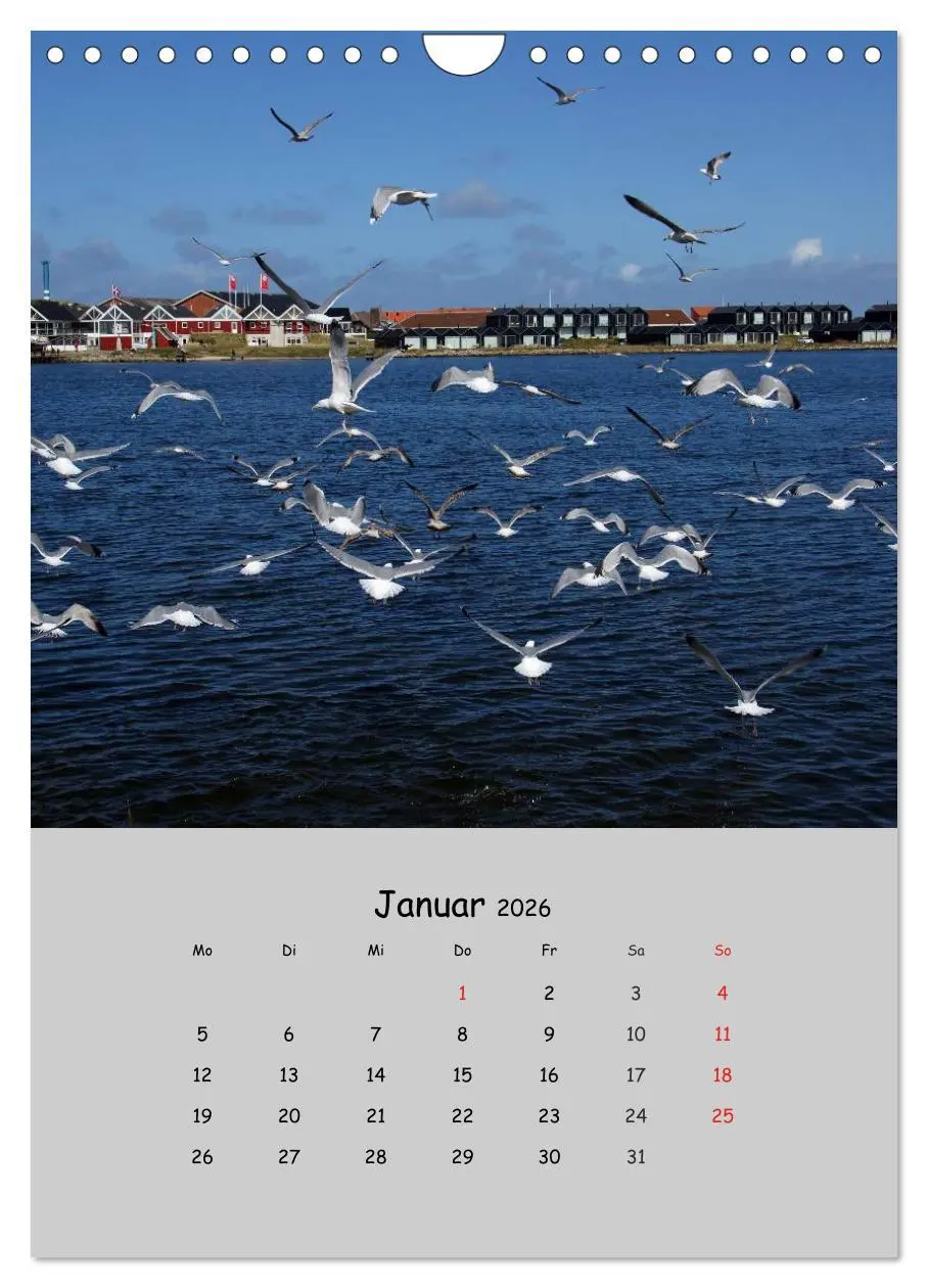 Bild: 9783516425277 | Dänemarks Westküste 2026 (Wandkalender 2026 DIN A4 hoch), CALVENDO...