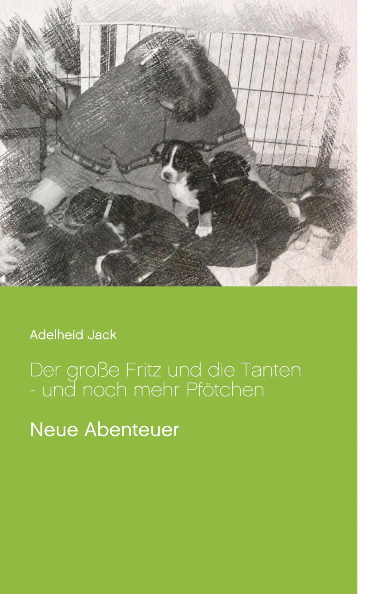 Cover: 9783746035277 | Der große Fritz und die Tanten - und noch mehr Pfötchen | Jack | Buch