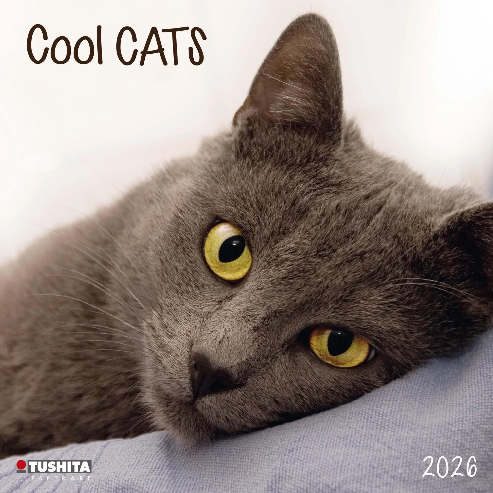 Cover: 9783959295277 | Cool Cats 2026 | Kalender 2026 | Kalender | Wonderful World | 28 S.