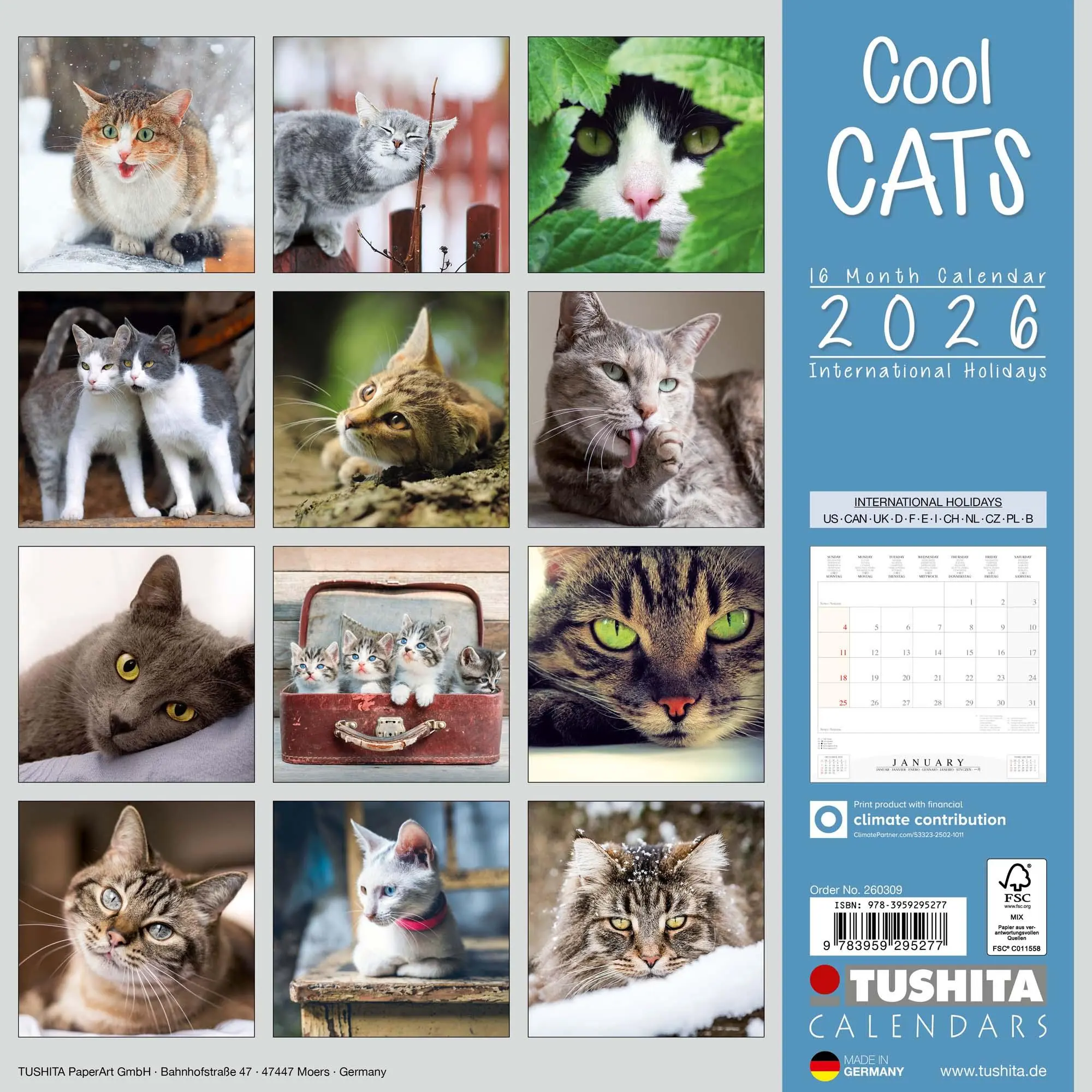Rückseite: 9783959295277 | Cool Cats 2026 | Kalender 2026 | Kalender | Wonderful World | 28 S.
