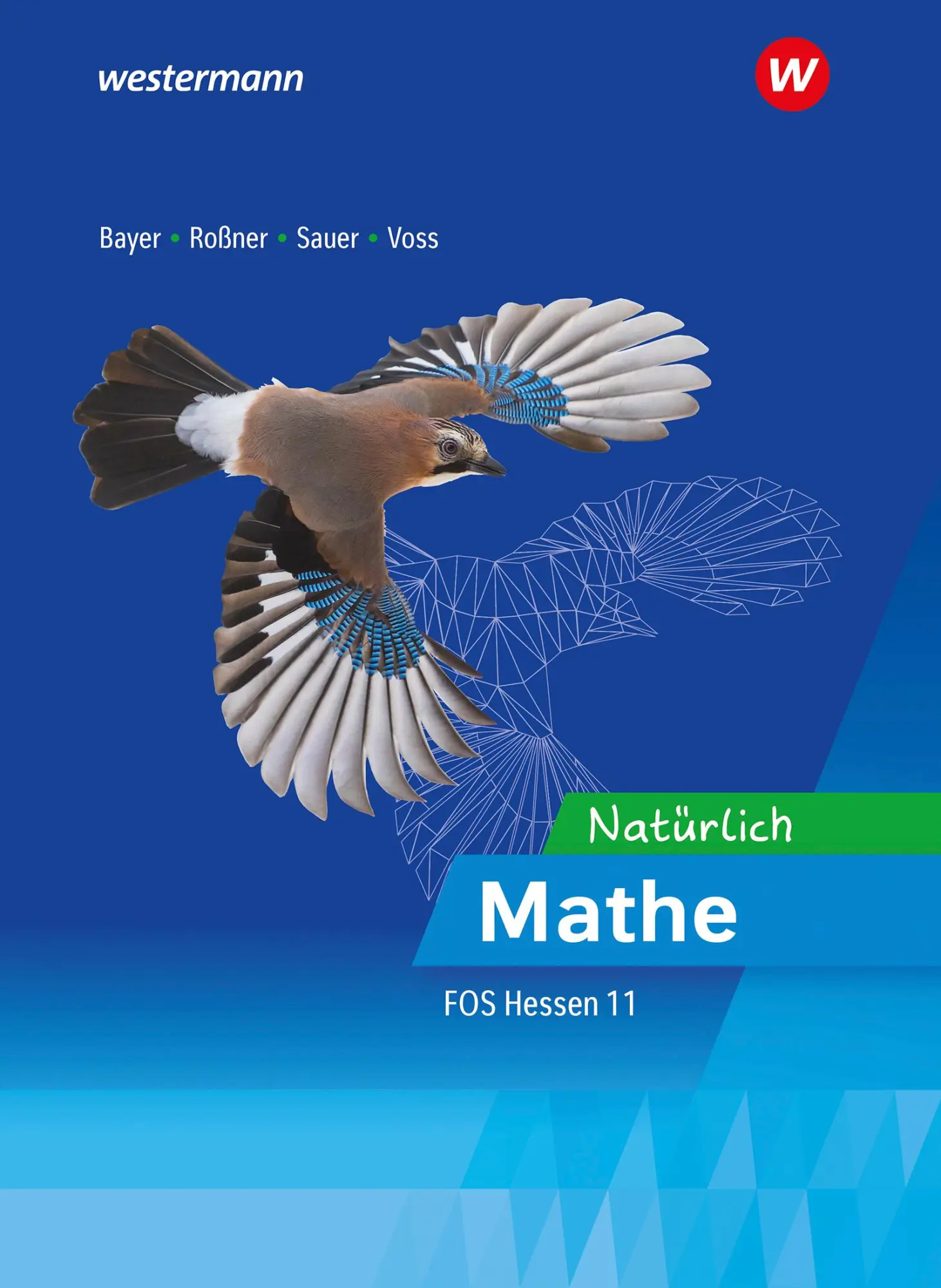 Cover: 9783427485377 | Mathematik für die Fachoberschulen in Hessen. Ausbildungsabschnitt...