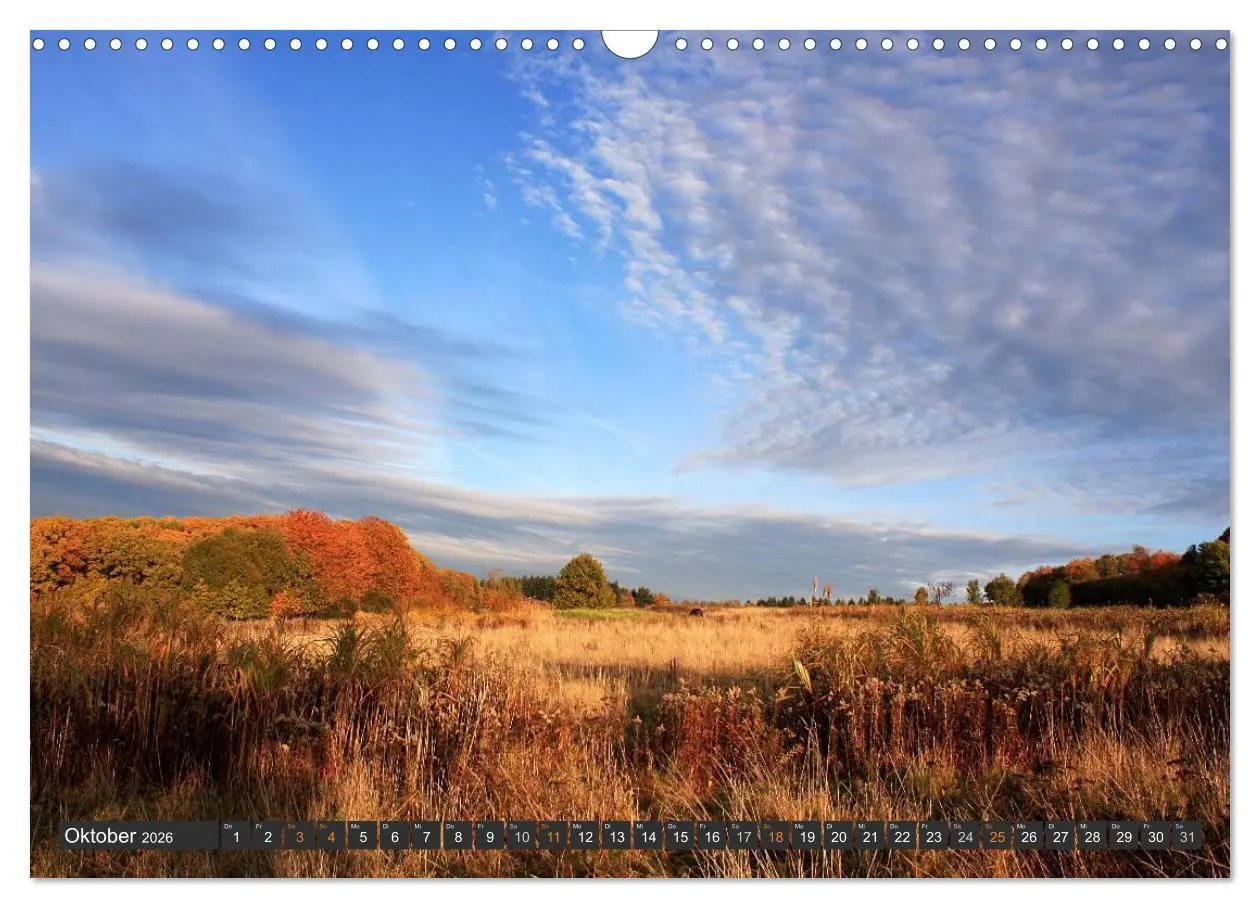 Bild: 9783516035377 | Unterwegs im Hunsrück (Wandkalender 2026 DIN A3 quer), CALVENDO...