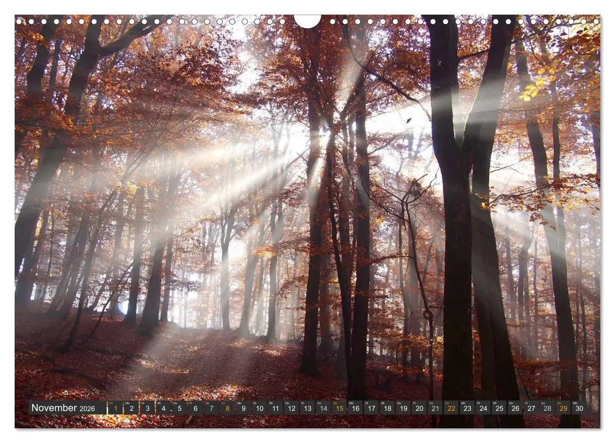 Bild: 9783516035377 | Unterwegs im Hunsrück (Wandkalender 2026 DIN A3 quer), CALVENDO...