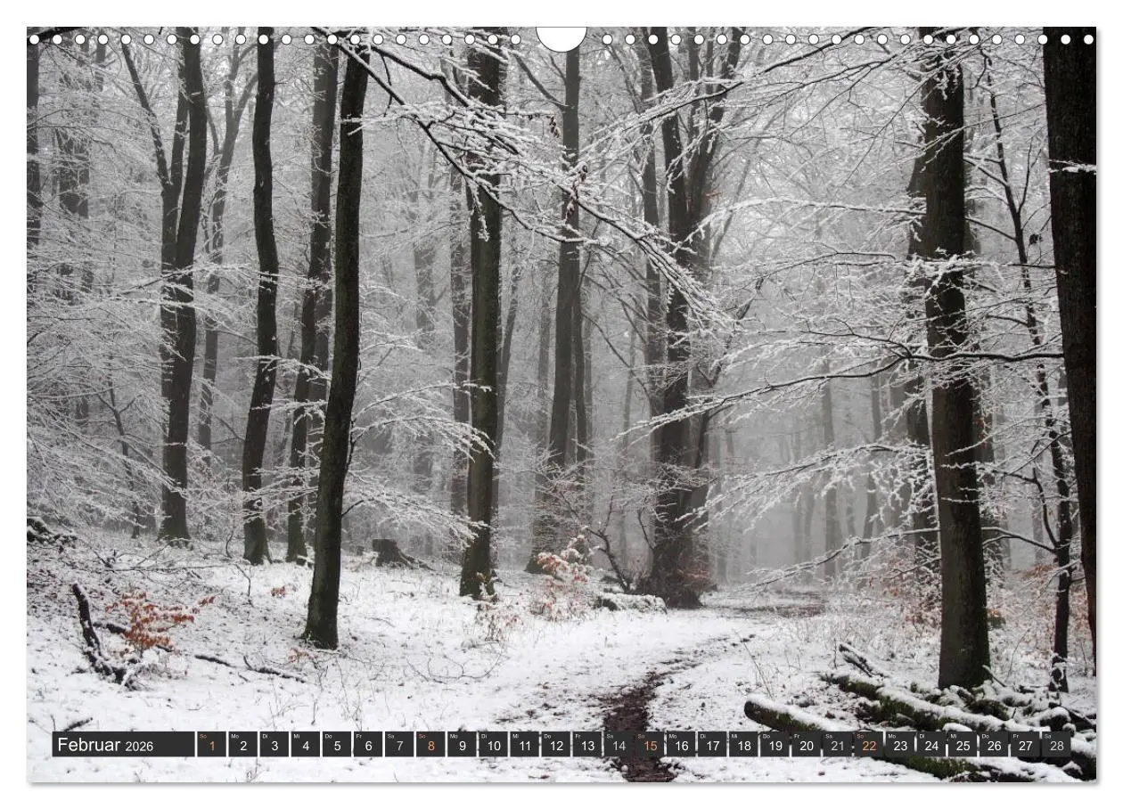 Bild: 9783516035377 | Unterwegs im Hunsrück (Wandkalender 2026 DIN A3 quer), CALVENDO...