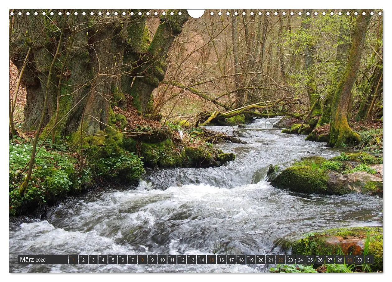 Bild: 9783516035377 | Unterwegs im Hunsrück (Wandkalender 2026 DIN A3 quer), CALVENDO...