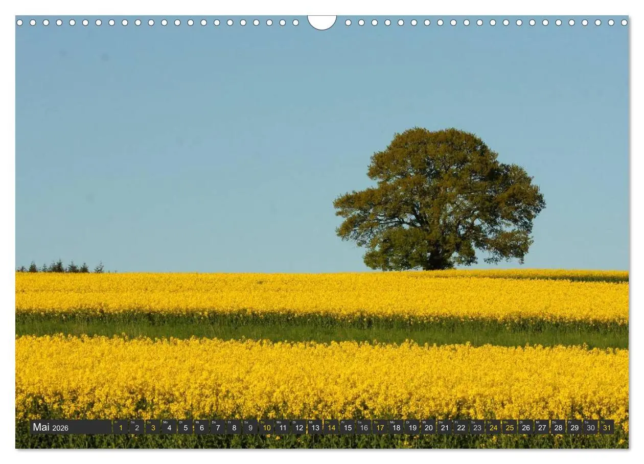 Bild: 9783516035377 | Unterwegs im Hunsrück (Wandkalender 2026 DIN A3 quer), CALVENDO...