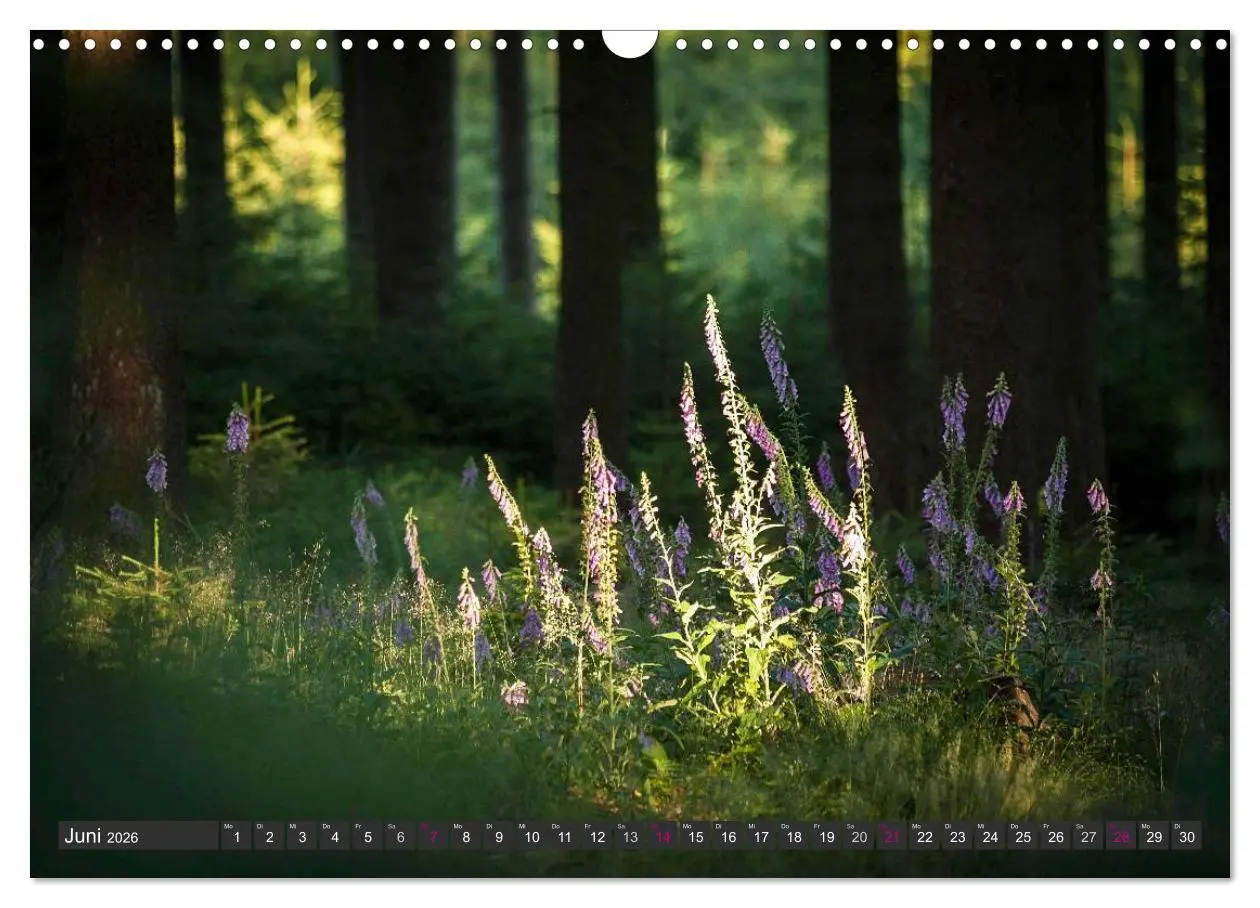 Bild: 9783516035377 | Unterwegs im Hunsrück (Wandkalender 2026 DIN A3 quer), CALVENDO...