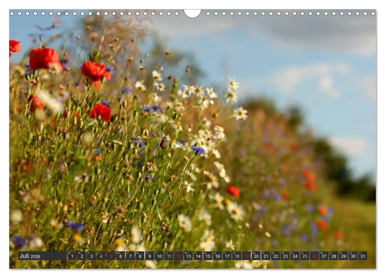 Bild: 9783516035377 | Unterwegs im Hunsrück (Wandkalender 2026 DIN A3 quer), CALVENDO...