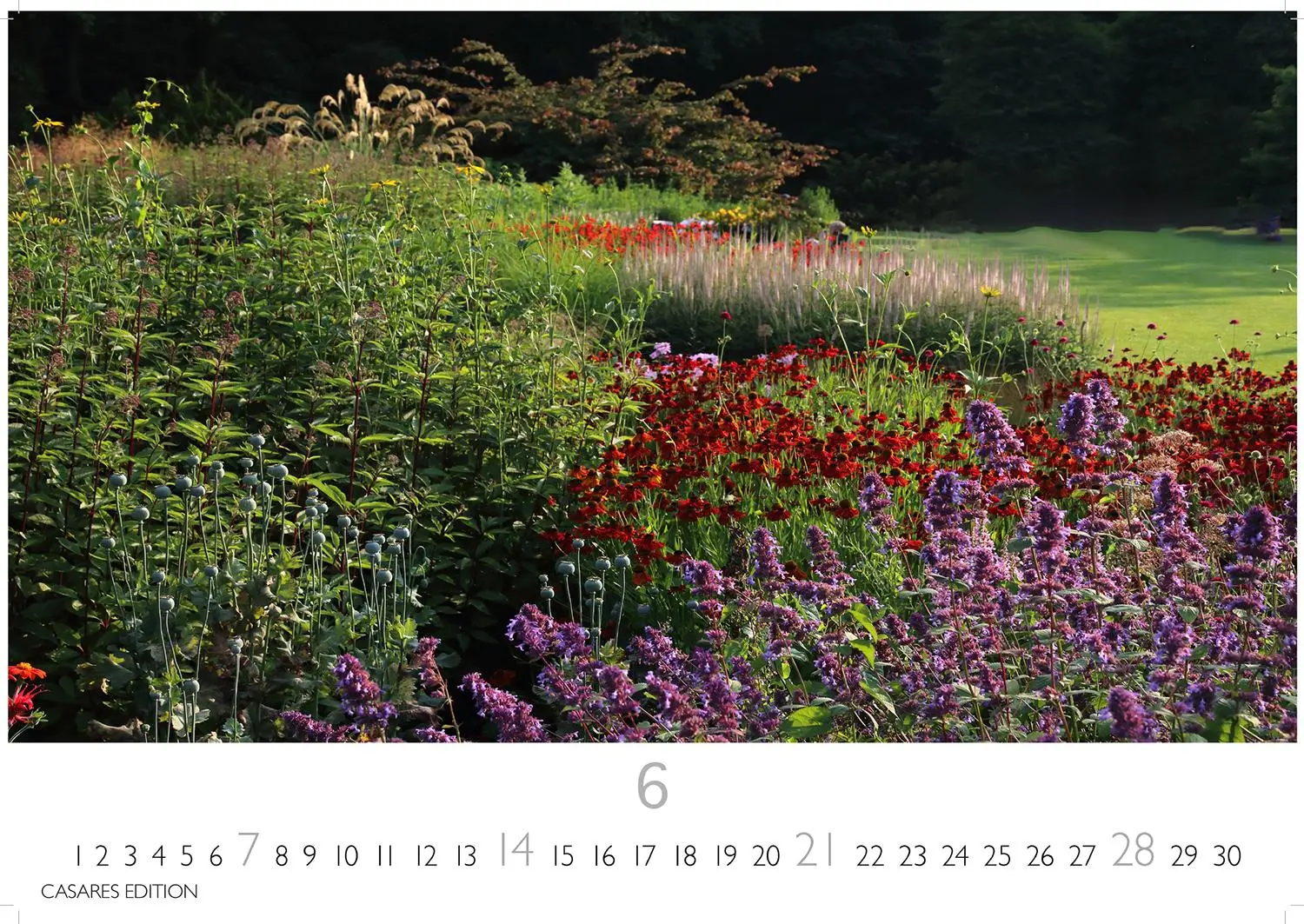 Bild: 9781835245477 | Englische Gärten 2026 S 24x35cm | Kalender | 14 S. | Deutsch | 2026