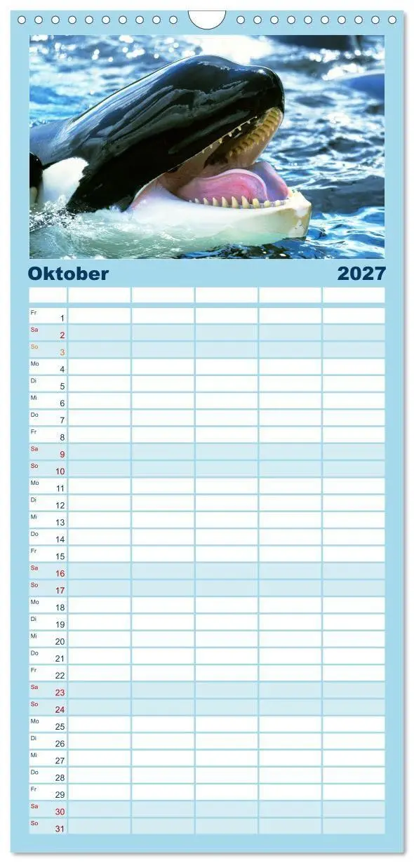 Bild: 9783594315477 | Familienplaner 2027 - Orcas: Schwarz-weiße Giganten mit 5 Spalten...
