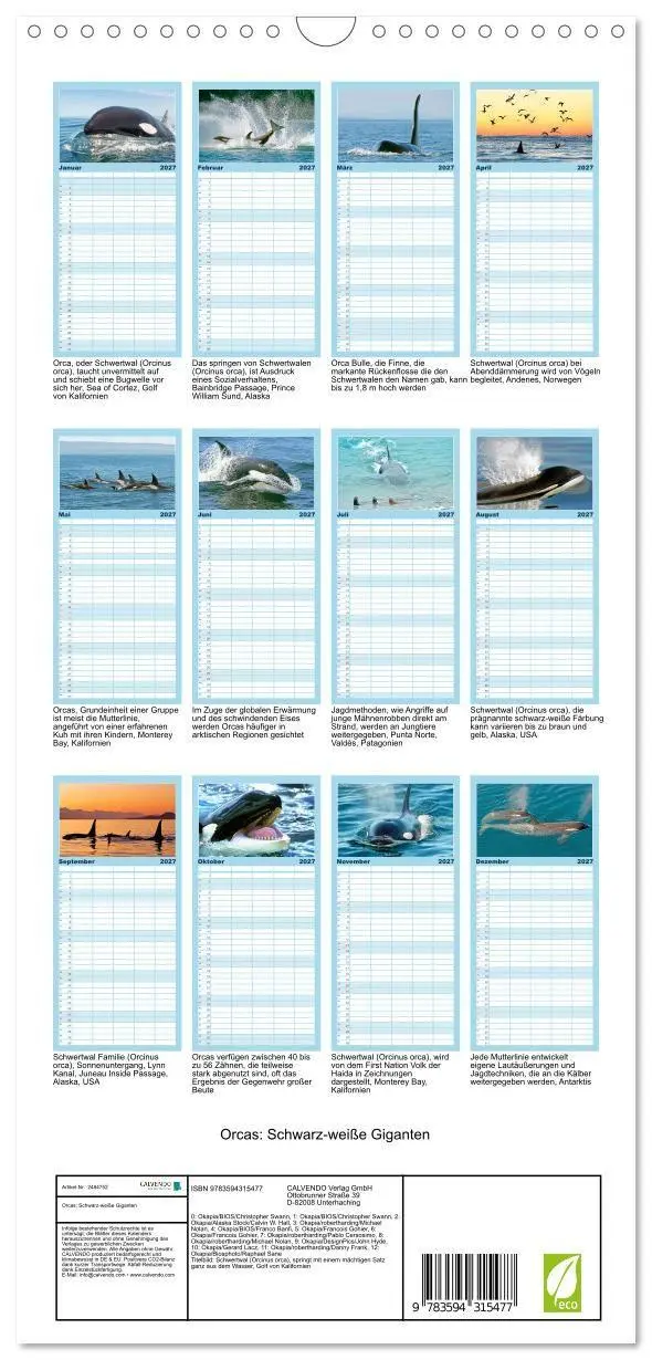 Bild: 9783594315477 | Familienplaner 2027 - Orcas: Schwarz-weiße Giganten mit 5 Spalten...