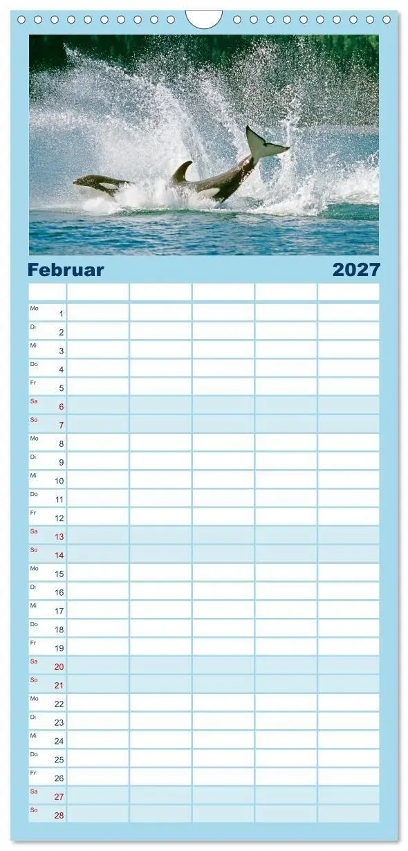 Bild: 9783594315477 | Familienplaner 2027 - Orcas: Schwarz-weiße Giganten mit 5 Spalten...