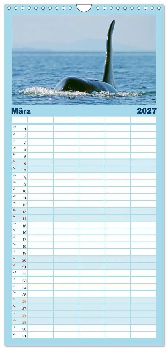 Bild: 9783594315477 | Familienplaner 2027 - Orcas: Schwarz-weiße Giganten mit 5 Spalten...
