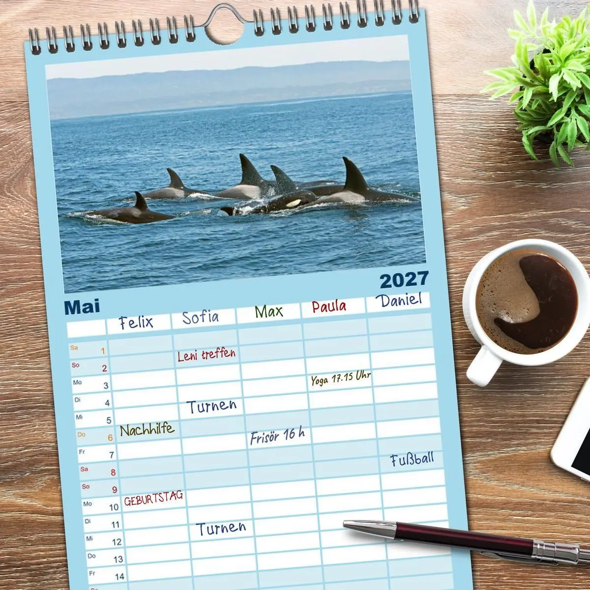 Bild: 9783594315477 | Familienplaner 2027 - Orcas: Schwarz-weiße Giganten mit 5 Spalten...