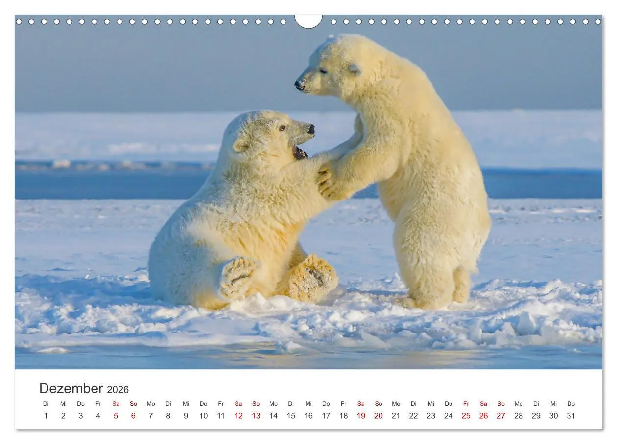 Bild: 9783457615577 | Alaska - Eine unvergessliche Reise. (Wandkalender 2026 DIN A3...