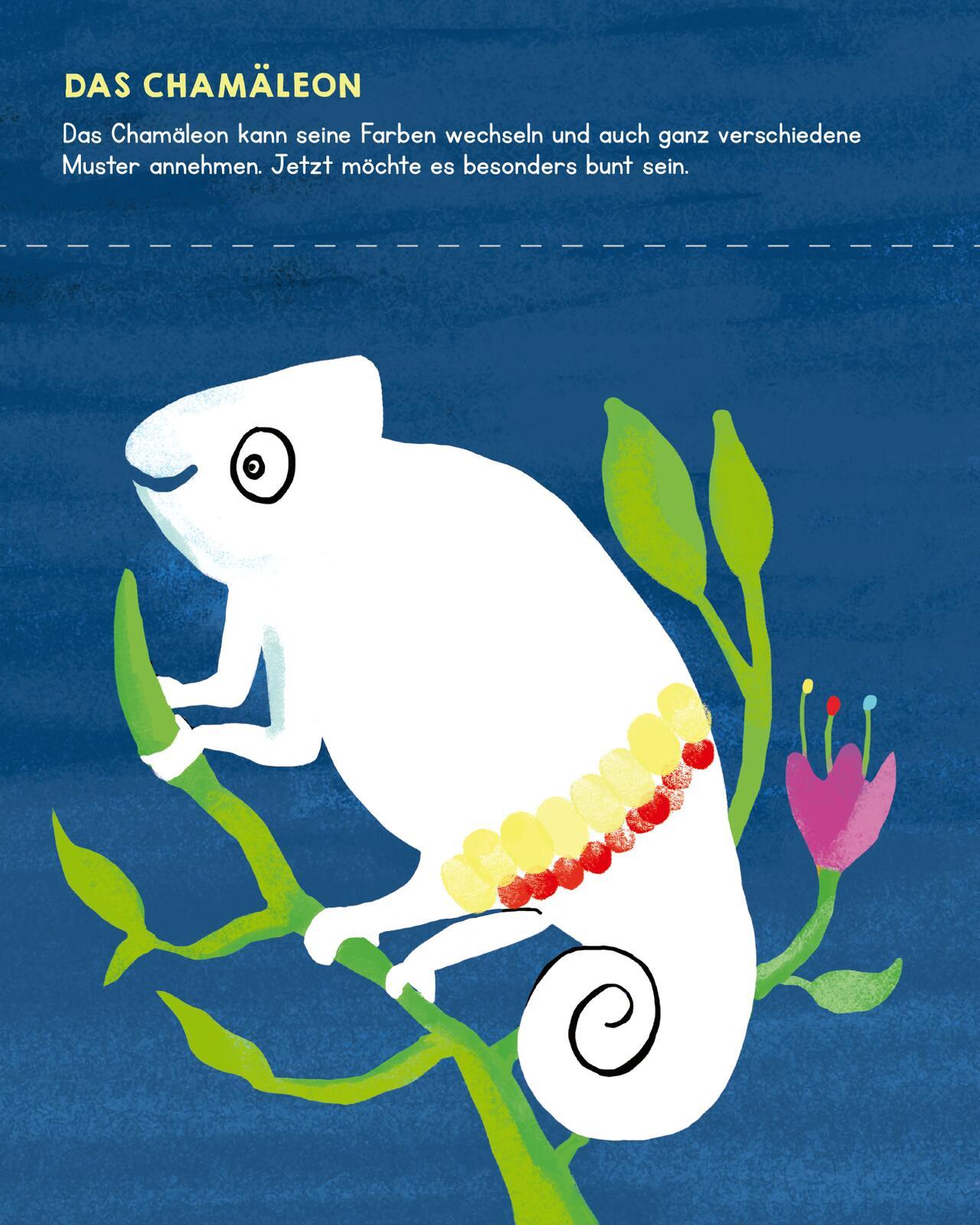 Bild: 9783845855677 | Meine allerersten Fingerstempel Tiere | Katja Mensing | Taschenbuch