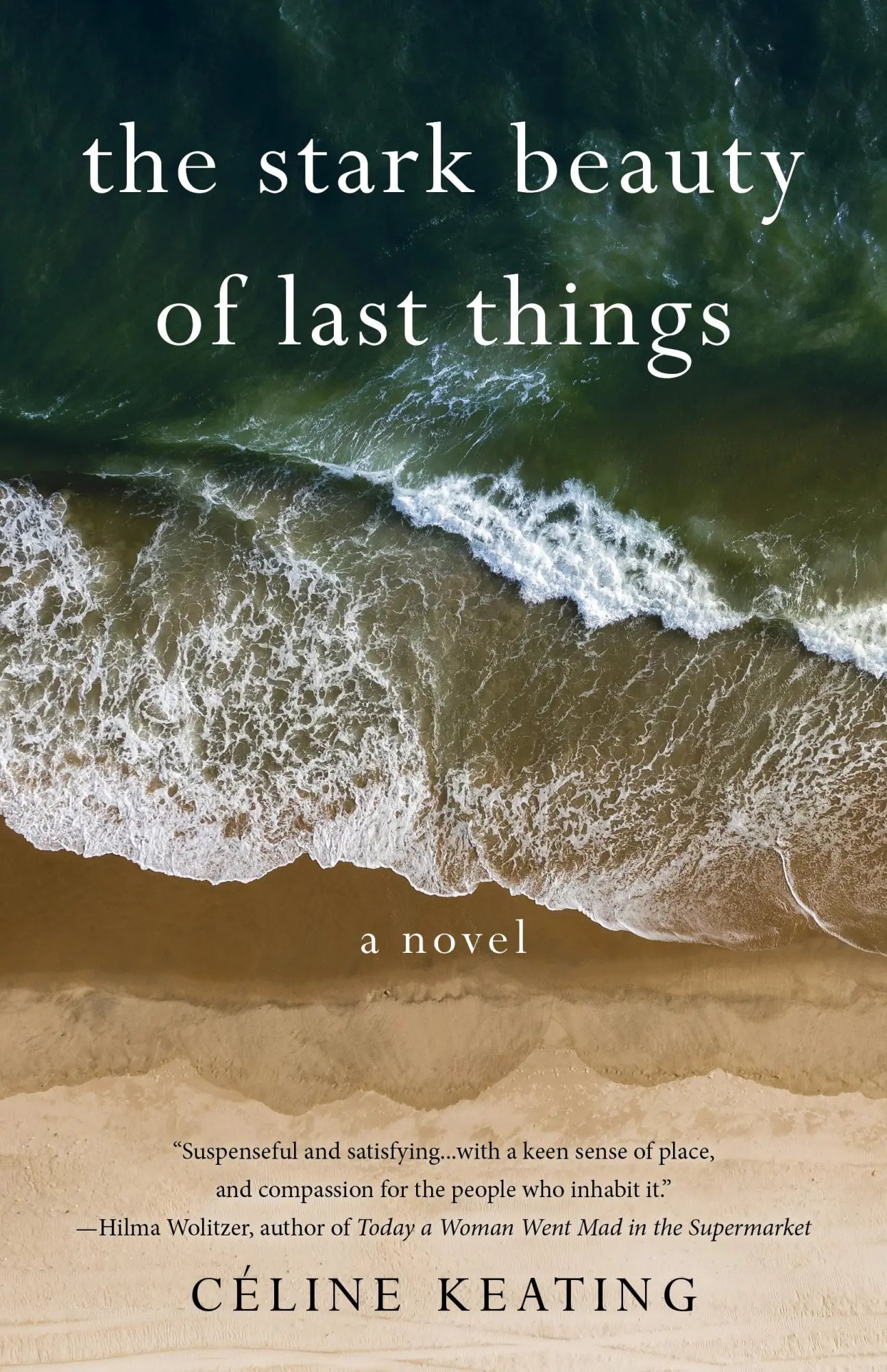 Bild: 9781647425777 | The Stark Beauty of Last Things | A Novel | Céline Keating | Buch