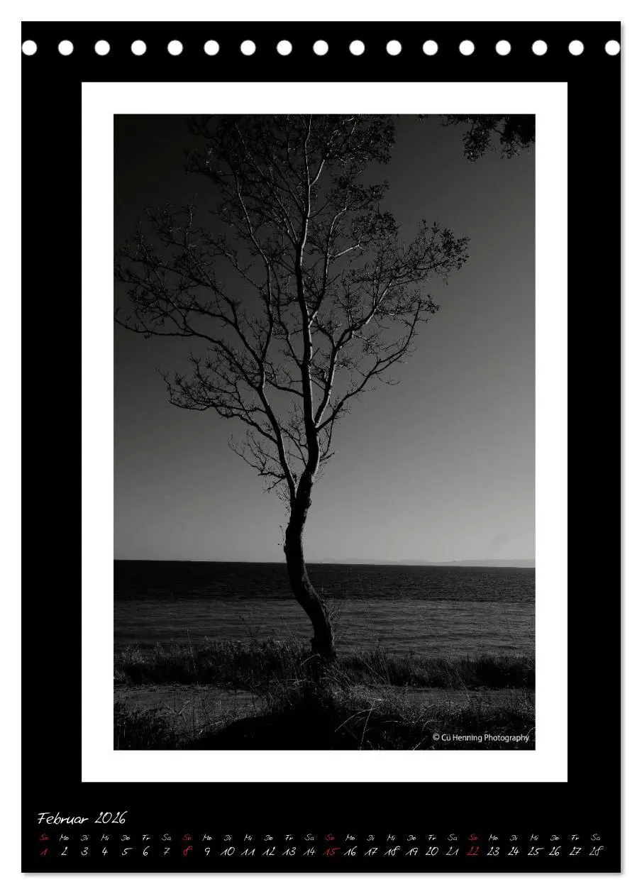 Bild: 9783516475777 | Lichtermeer (Tischkalender 2026 DIN A5 hoch), CALVENDO Monatskalender