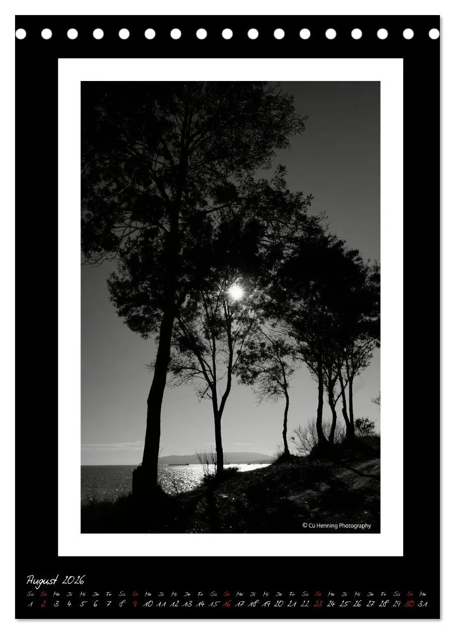 Bild: 9783516475777 | Lichtermeer (Tischkalender 2026 DIN A5 hoch), CALVENDO Monatskalender