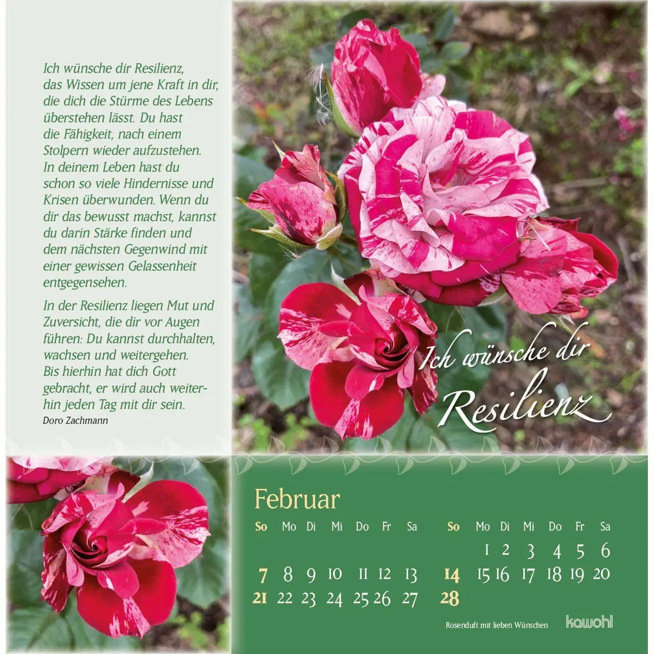 Bild: 9783754815977 | Rosenduft mit lieben Wünschen 2027 | Rosen-Postkarten-Kalender | 14 S.