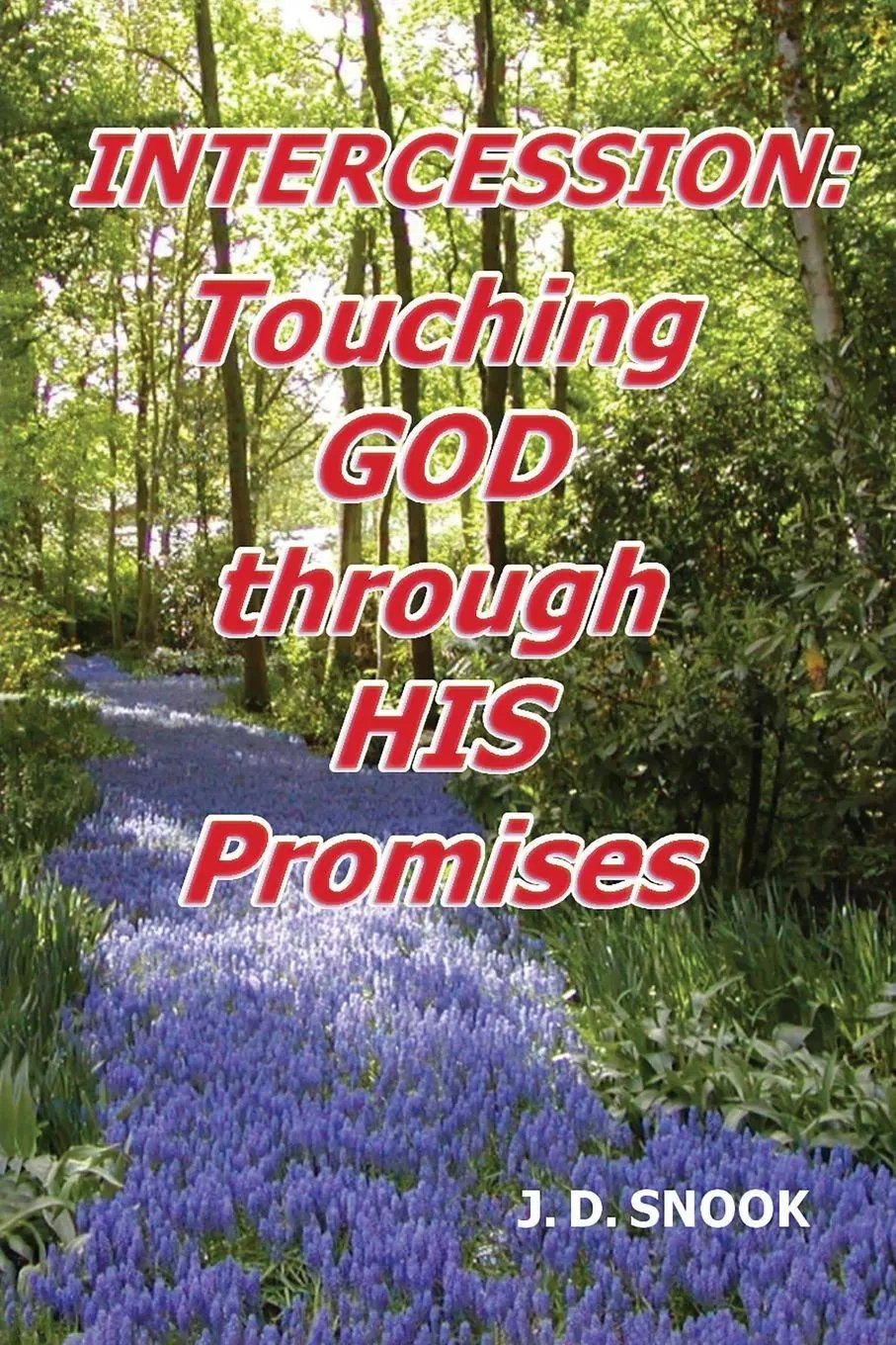 Cover: 9798887755977 | INTERCESSION | Touching GOD through HIS Promises | J. D. Snook | Buch