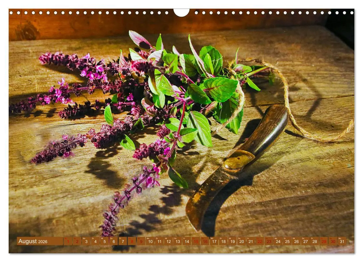 Bild: 9783457796177 | Küchenkräuter Nostalgie (Wandkalender 2026 DIN A3 quer), CALVENDO...